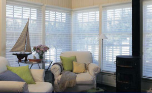 What are Window Treatments
