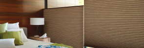 Window Coverings for Privacy