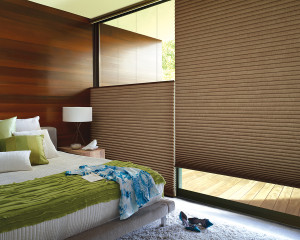 Window Coverings for Privacy 