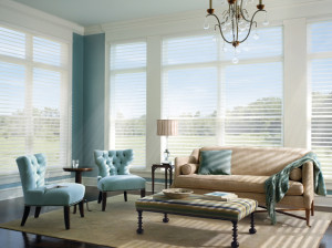 Window Shades to Maintain Your View in Baltimore