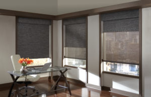 Dual Roller Designer Screen Shades in the Office